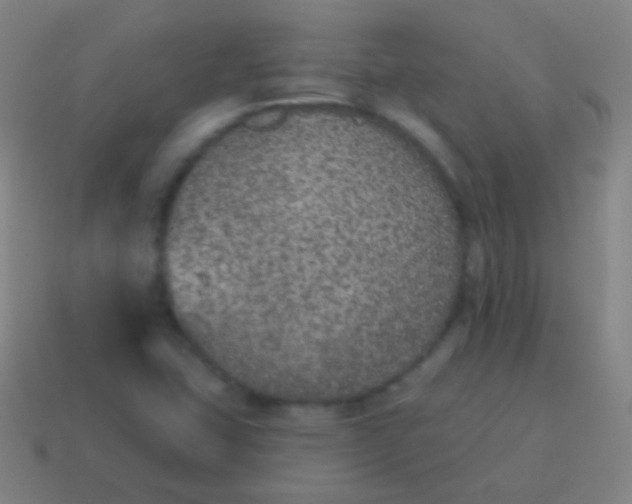 X0000115071407200911101253