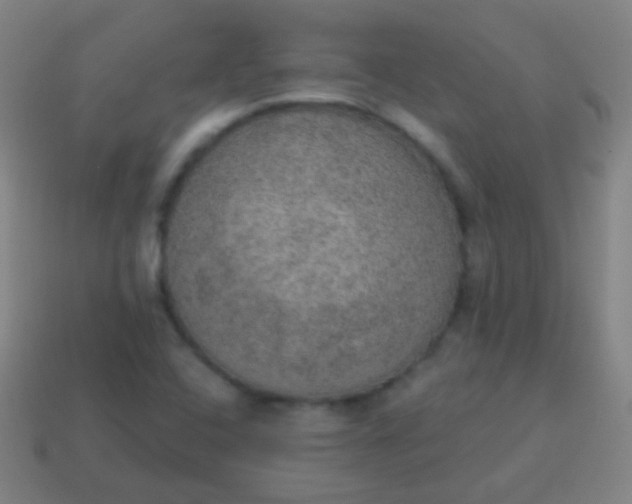 X0000115071408200911101253