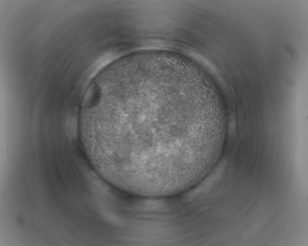 X0000115071409200911101253