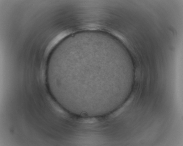 X0000115071410200911101253