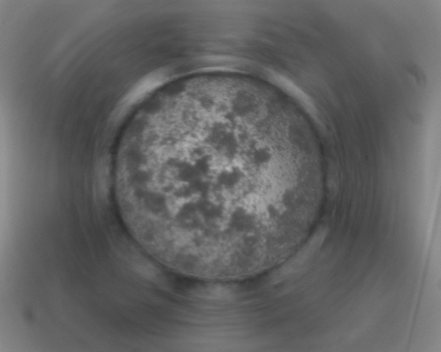X0000115071411200911101253