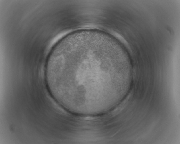 X0000115071412200911101253