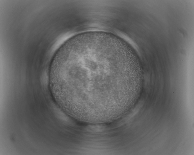 X0000115071415200911101253