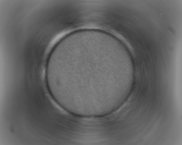 X0000115071416200911101253