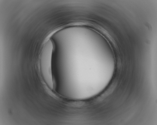 X0000115071417200911101253