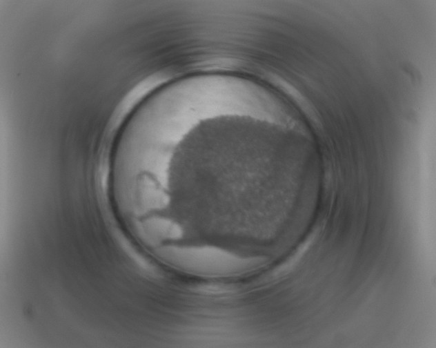 X0000115071418200911101253