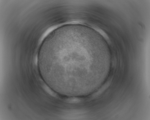 X0000115071420200911101253