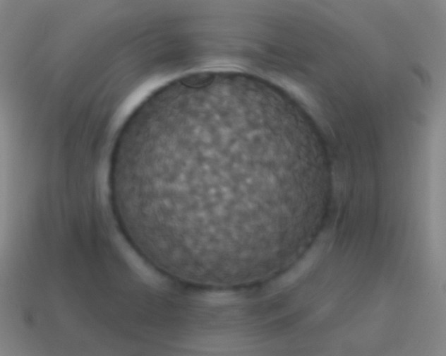 X0000115071422200911101253
