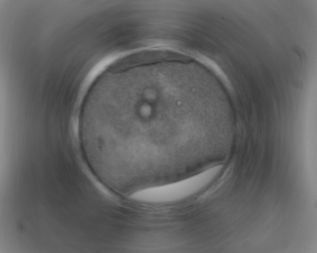 X0000115071424200911101253