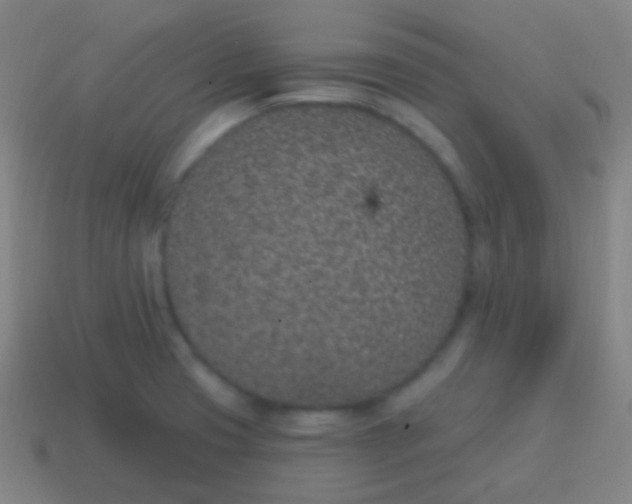 X0000115071425200911101253
