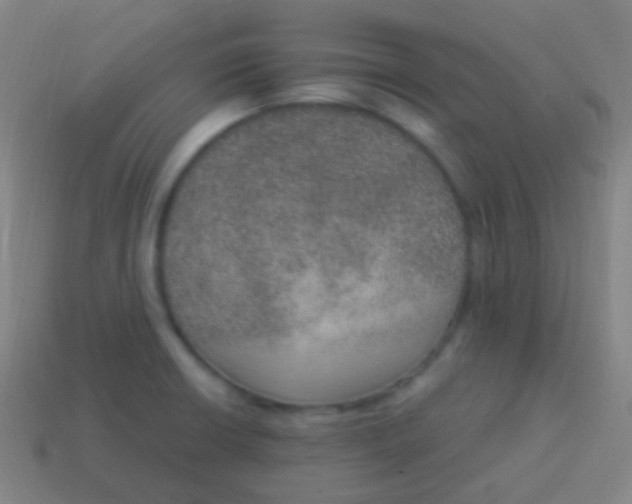 X0000115071426200911101253