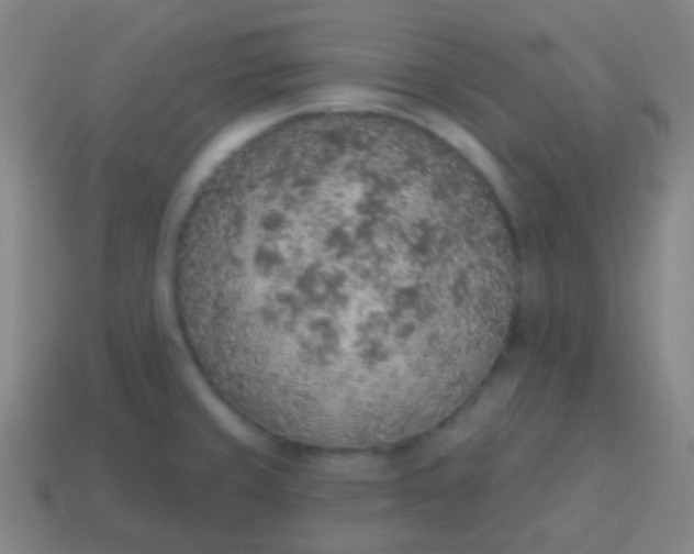 X0000115071429200911101253