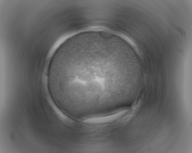 X0000115071430200911101253