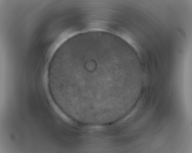 X0000115071431200911101253