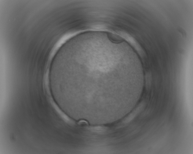 X0000115071432200911101253