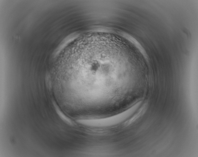 X0000115071433200911101253