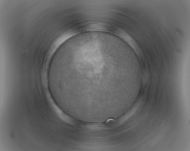 X0000115071434200911101253