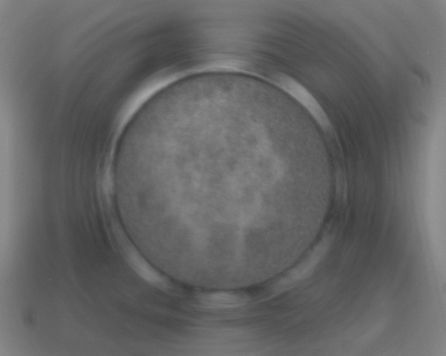 X0000115071436200911101253