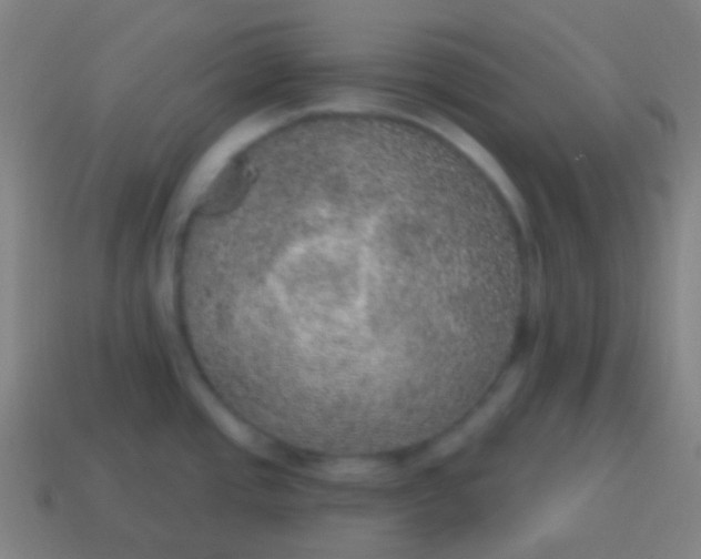 X0000115071437200911101253