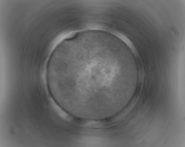 X0000115071439200911101254