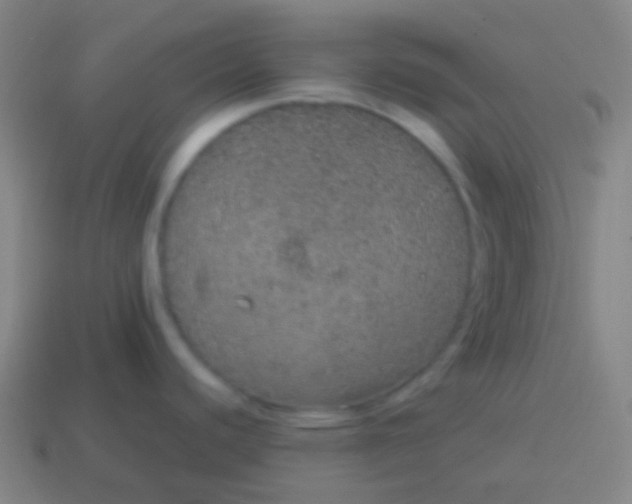 X0000115071440200911101254