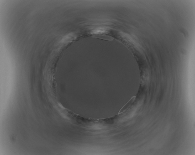 X0000115071441200911101253