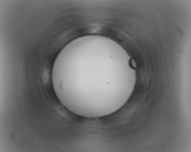 X0000115071442200911101253