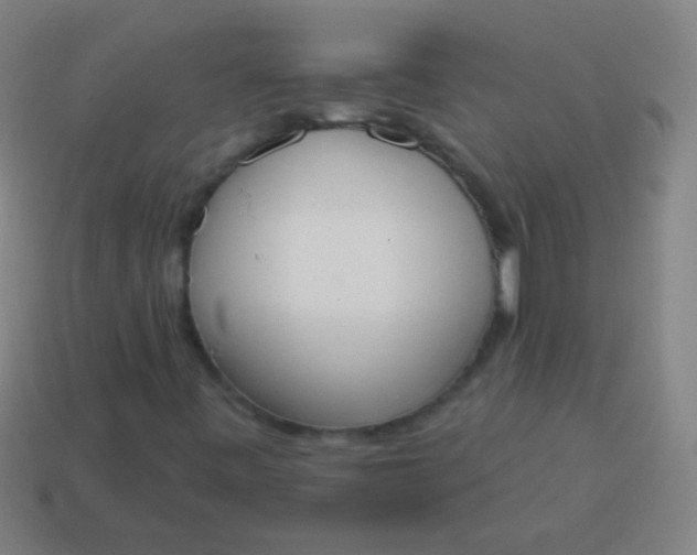 X0000115071443200911101253