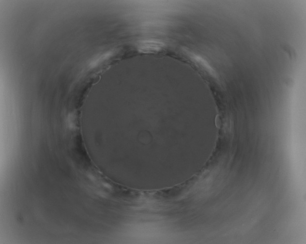 X0000115071445200911101253