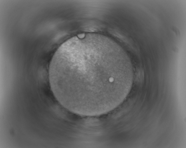 X0000115071446200911101253