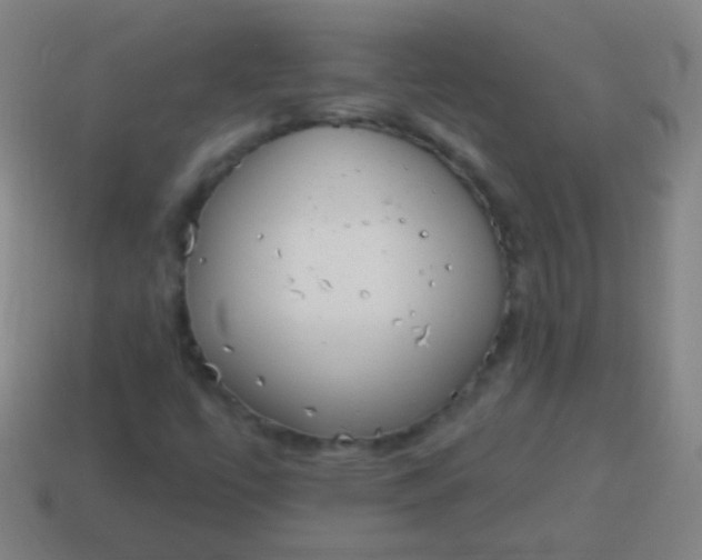 X0000115071447200911101253