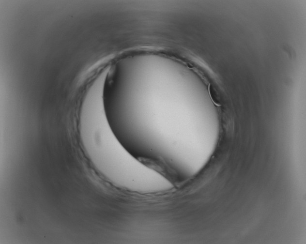 X0000115071448200911101253