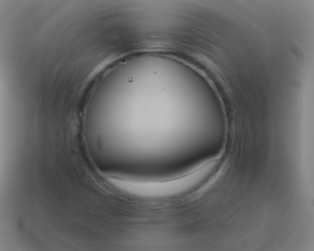 X0000115071449200911101253