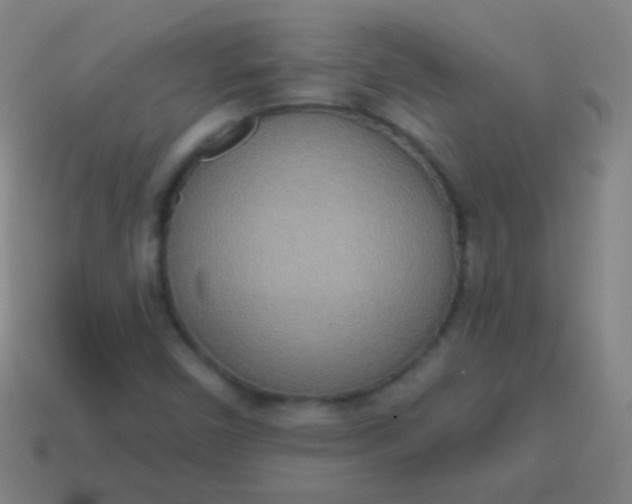 X0000115071450200911101253