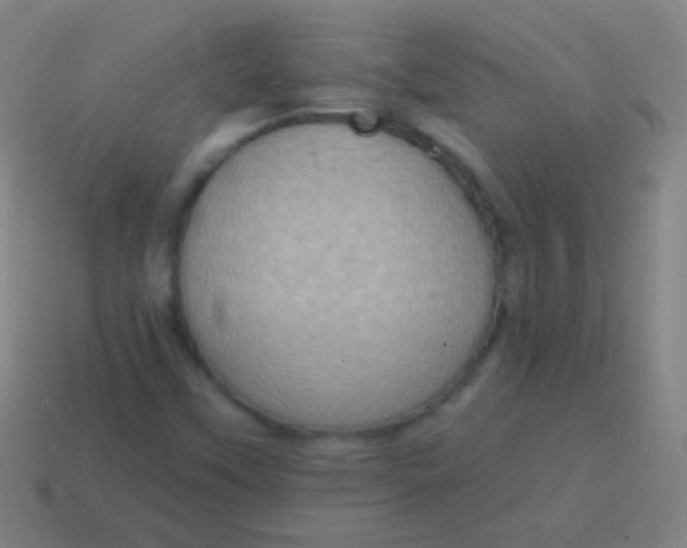 X0000115071451200911101253
