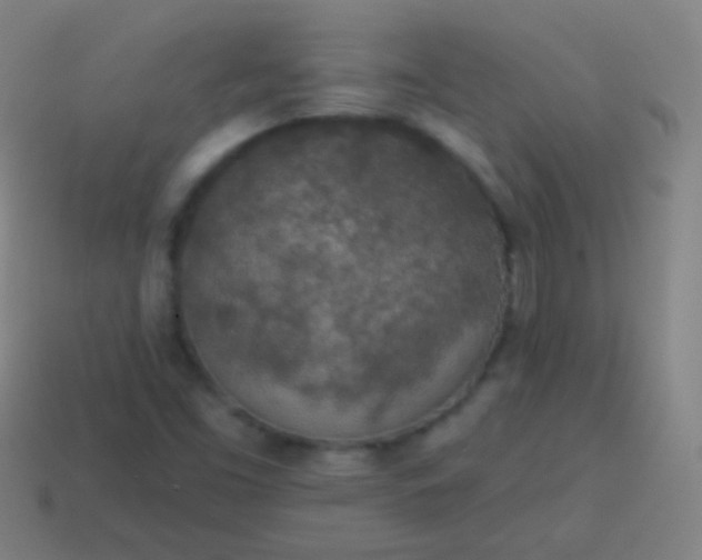 X0000115071453200911101253