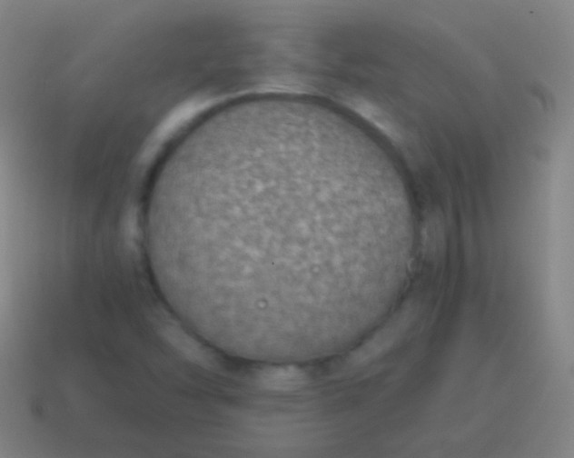 X0000115071454200911101253