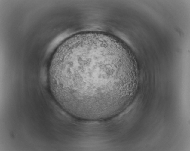 X0000115071455200911101253