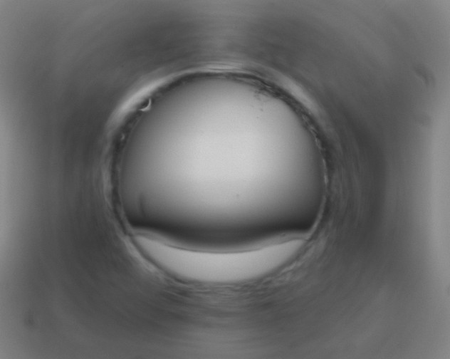 X0000115071456200911101253