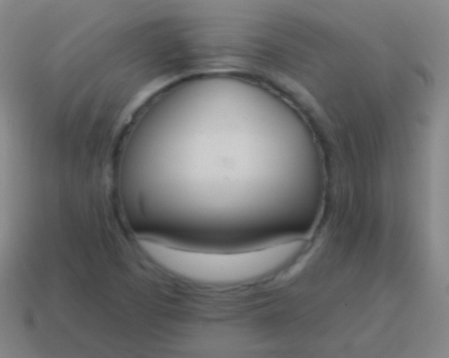 X0000115071457200911101253