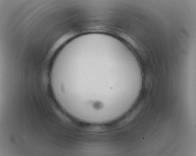 X0000115071458200911101253