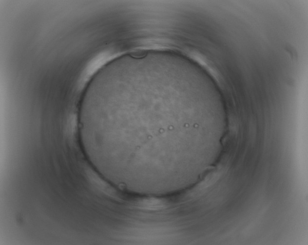 X0000115071459200911101253