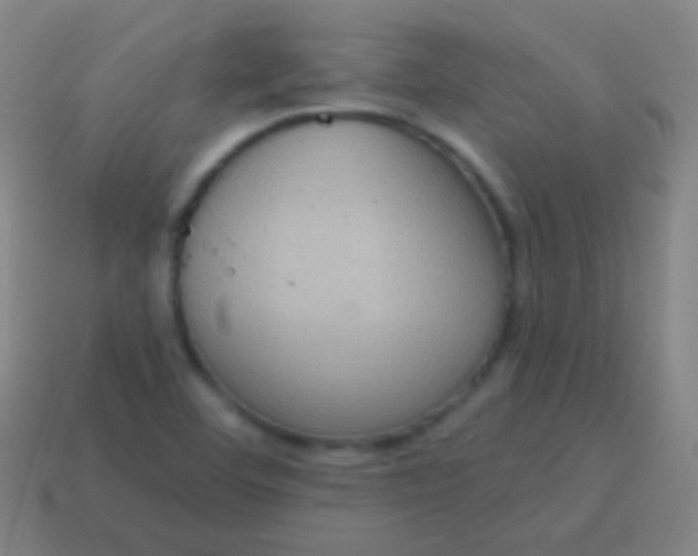 X0000115071460200911101253