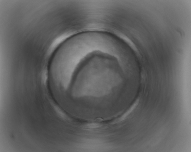 X0000115071461200911101253