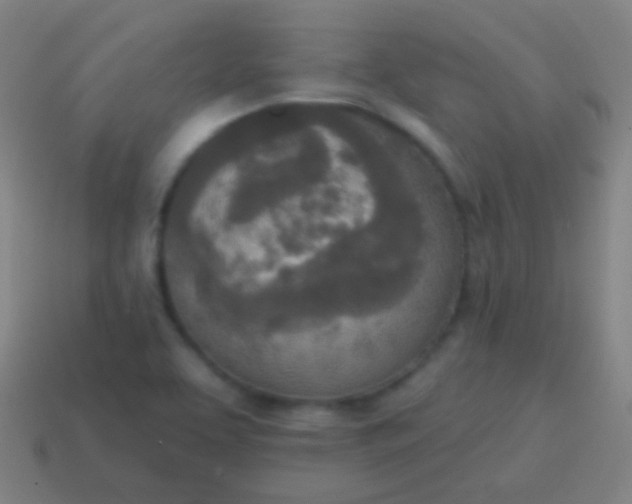 X0000115071463200911101253