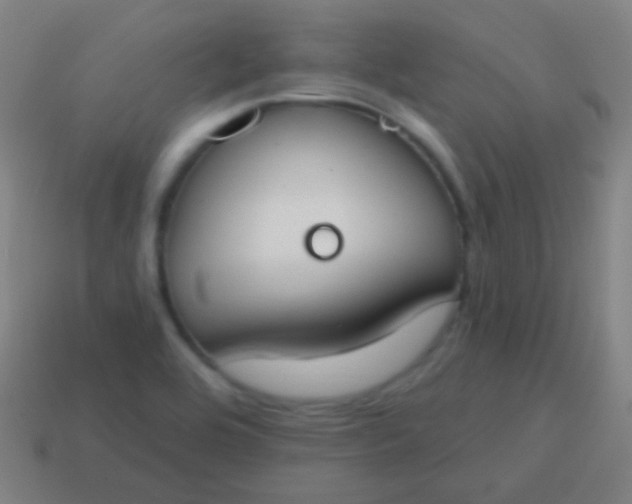 X0000115071464200911101253