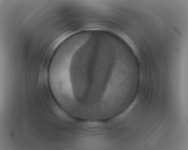 X0000115071465200911101253