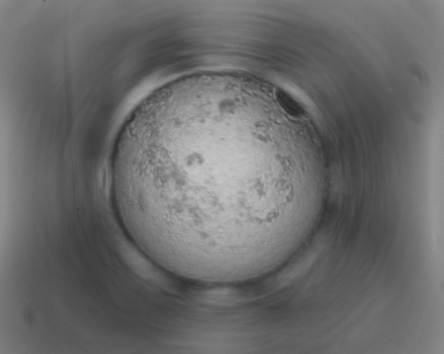 X0000115071467200911101253