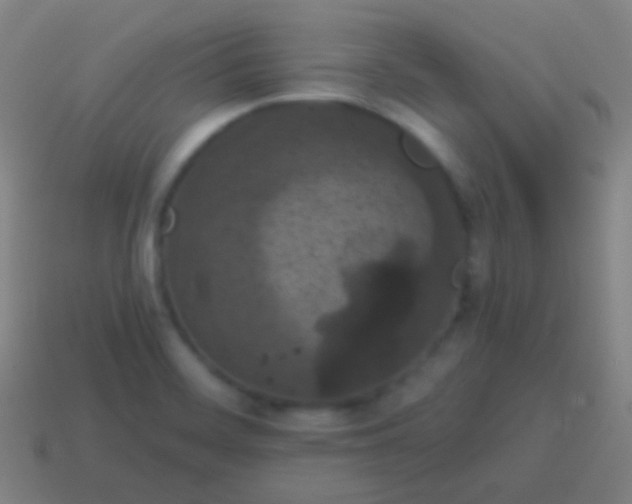 X0000115071468200911101253