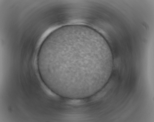 X0000115071470200911101253